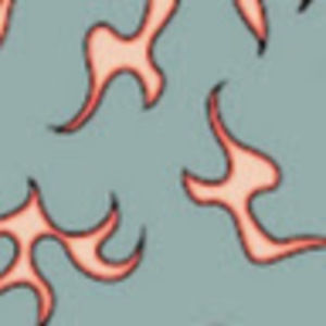 Meet your Posher, Ava